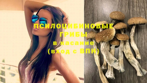 бошки Волоколамск