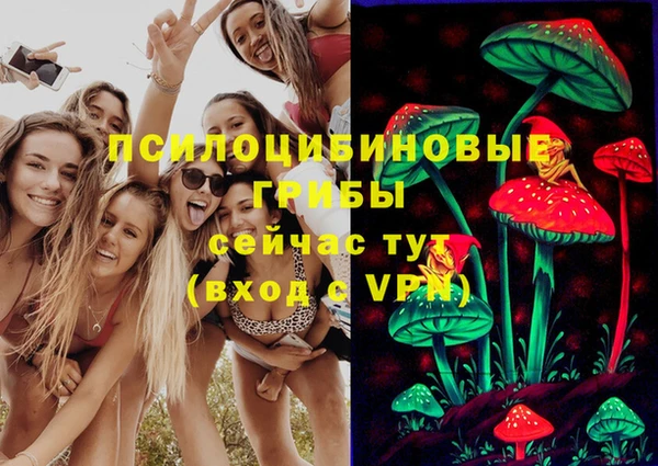 бошки Волоколамск